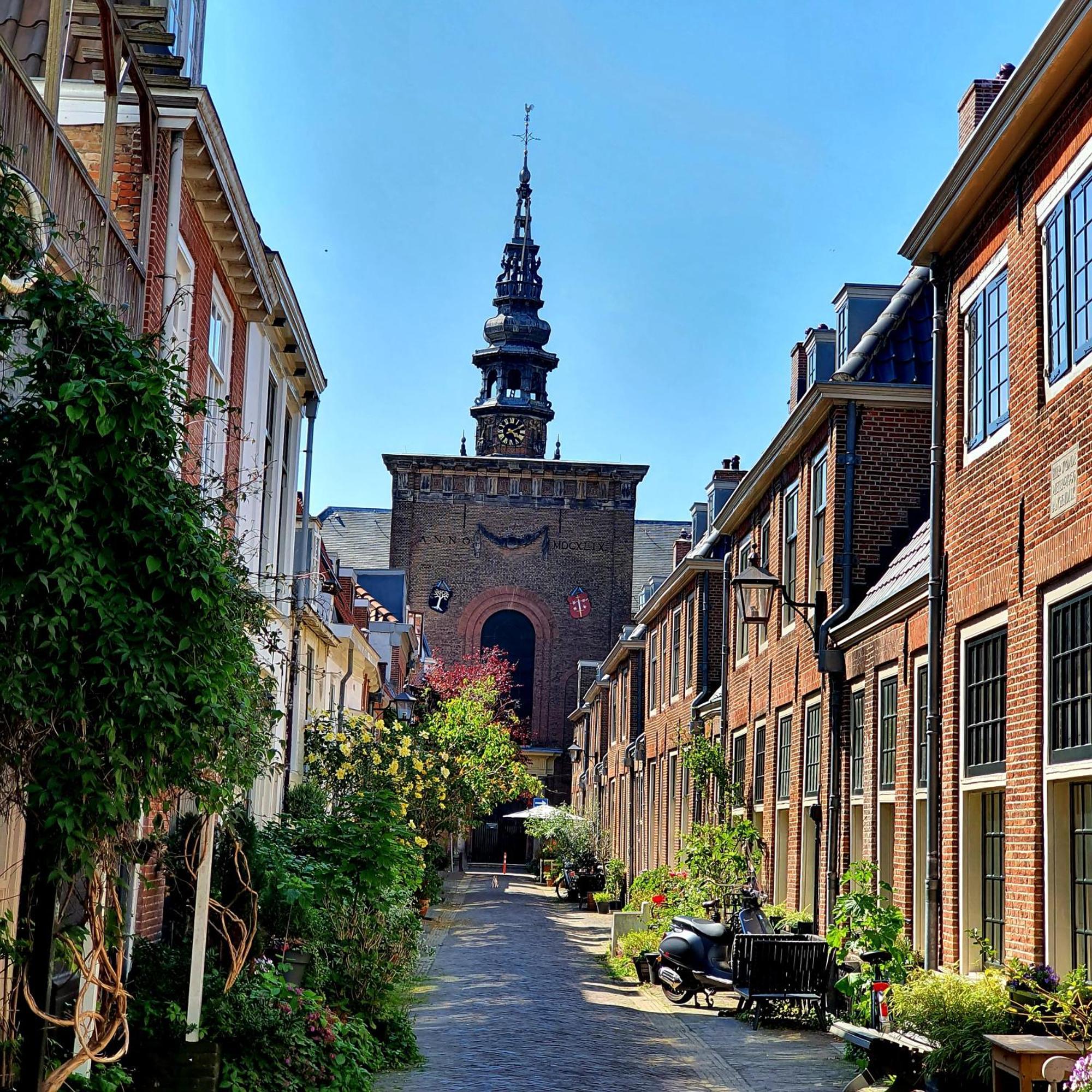 City Attic Haarlem Eksteriør billede